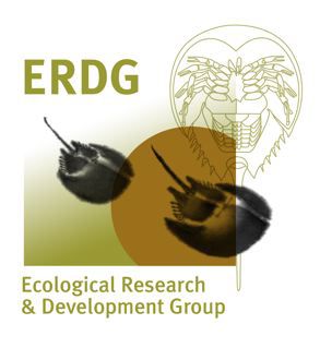 ERDG Logo.jpg